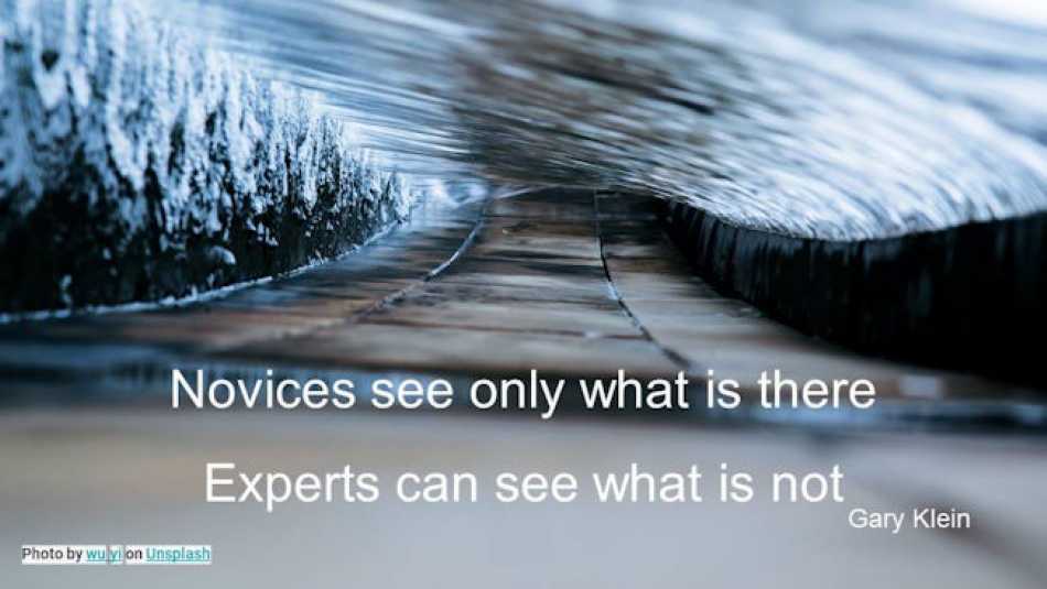 Novices see only what is there. Experts can see what is not!
